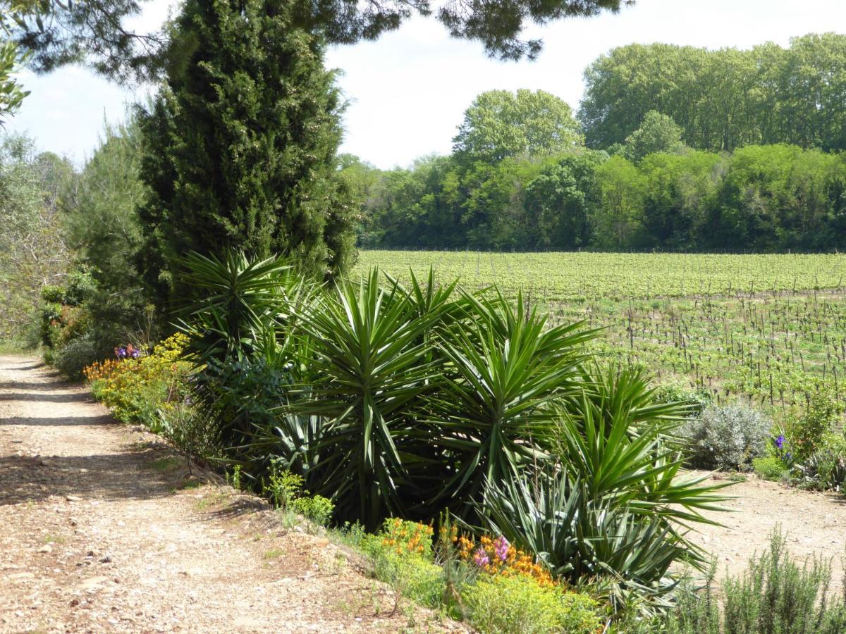 Domaine De L'Herbe Sainte Mirepeisset Exterior foto