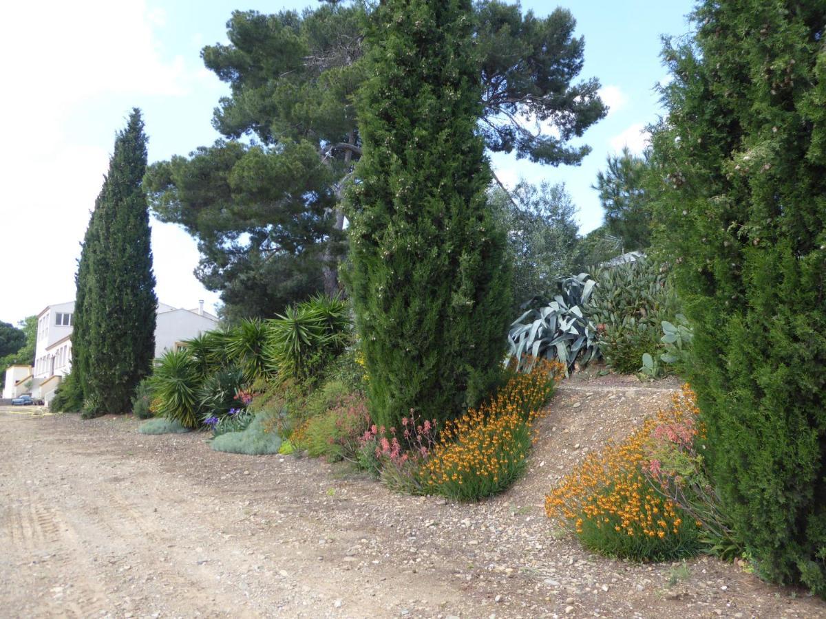 Domaine De L'Herbe Sainte Mirepeisset Exterior foto