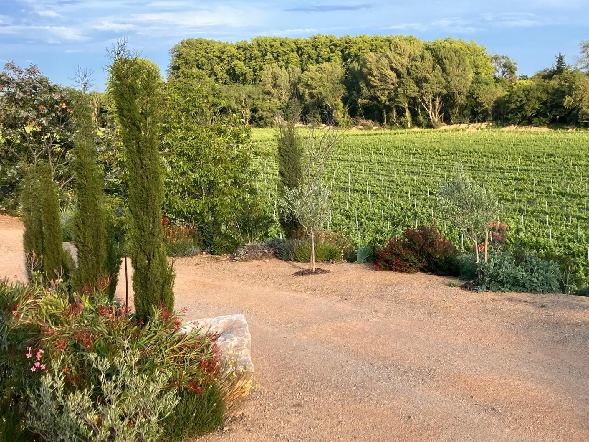 Domaine De L'Herbe Sainte Mirepeisset Exterior foto